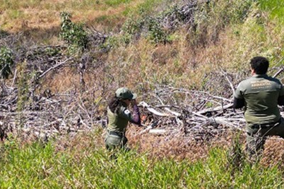Operação de combate ao desmatamento no Norte e Noroeste de Minas suspende atividades ilegais e aplica R$ 30 milhões em multas