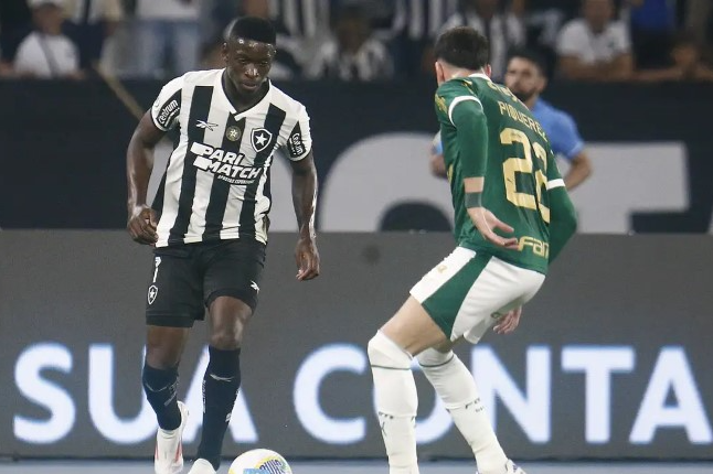 Botafogo recebe Palmeiras no primeiro jogo das oitavas da Libertadores