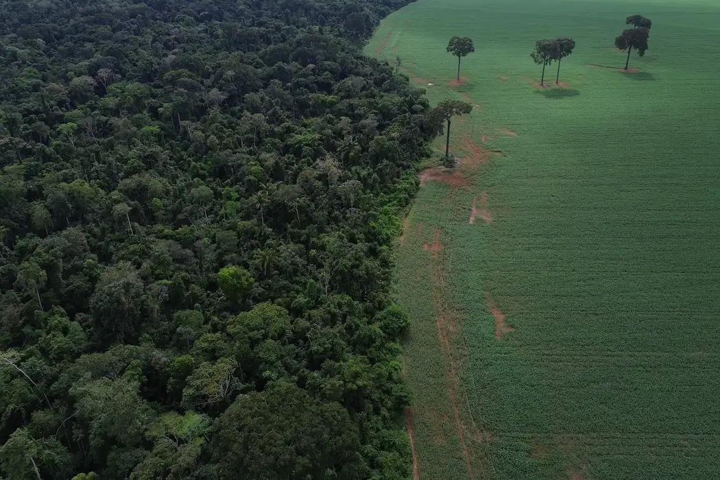 Caravana da Resposta vai percorrer 3 mil km até a COP30 para denunciar impactos do agronegócio na Amazônia