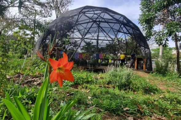 Prefeitura de BH oferece 200 vagas gratuitas em curso online de agroecologia
