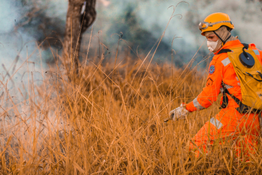 Em ano recorde de atendimentos, balanço dos bombeiros revela redução de mais de 20% em área queimada nas Unidades de Conservação