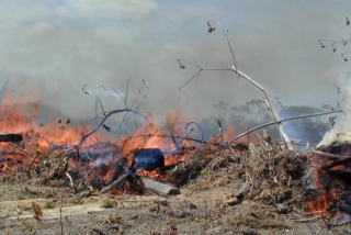 FenÃ´meno climÃ¡tico provoca seca ou excesso de chuva nos trÃ³picos e zonas subtropicais (Foto: DivulgaÃ§Ã£o/Doug Morton/Nasa)