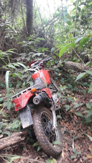 Moto estava escondida em um matagal (Foto: DivulgaÃ§Ã£o/PMMG)