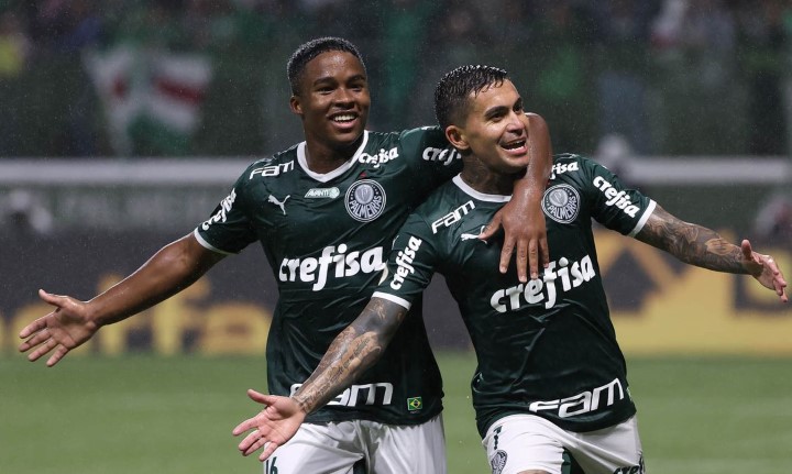 dudu palmeiras