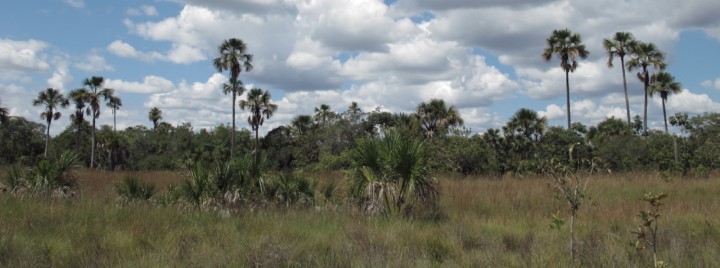 reserva de mata 