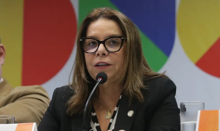 denise pires de carvalho, presidente da capes
