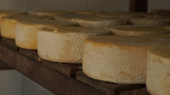 queijo minas