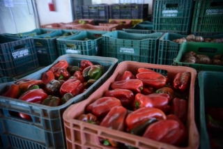 A proposta do governo Ã© garantir acesso de todos os brasileiros a uma alimentaÃ§Ã£o adequada e saudÃ¡velPlanaltina/DF - Estrangeiros conhecem experiÃªncia brasileira de distribuiÃ§Ã£o de alimentos, desenvolvidas pelo Programa de AquisiÃ§Ã£o de Alimentos (PAA) (Foto: Antonio Cruz/AgÃªncia Brasil)