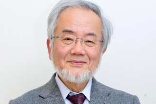 O cientista japonÃªs Yoshinori Ohsumi ganhou o PrÃªmio Nobel de Medicina de 2016 pela sua descoberta do mecanismo de autofagia (Foto: EPA/TOKYO INSTITUTE OF TECHNOLOGY/HANDOUT MANDATORY CREDIT HANDOUT EDITORIAL USE ONLY/NO SALESTOKYO INSTITUTE OF TECHNOLOGY/HANDOUT)