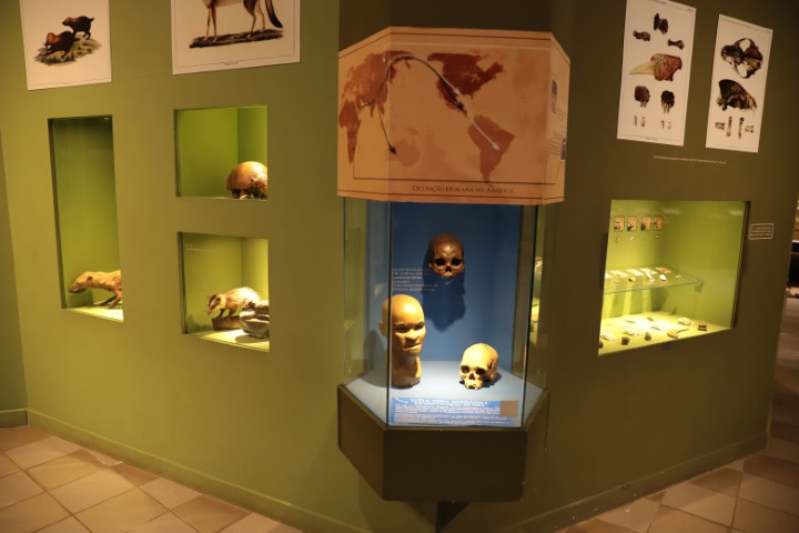 Descoberta de Luzia, um dos esqueletos mais antigos das Américas, completa 50 anos
