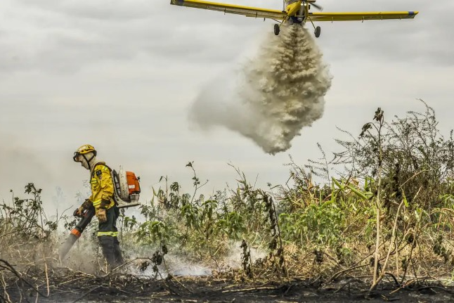 Pantanal: redução da área alagada tem favorecido aumento de incêndios