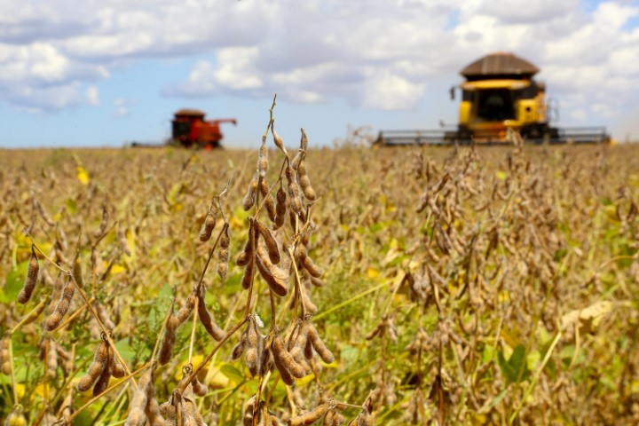 Calor extremo prejudica lavouras e aumenta riscos à produção de alimentos, alerta climatologista