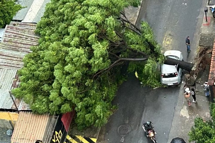 Temporal causa destruição e transtornos em Belo Horizonte