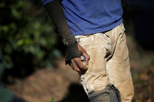 OIT: lucros anuais do trabalho forçado chegam a US$ 236 bilhões ao ano