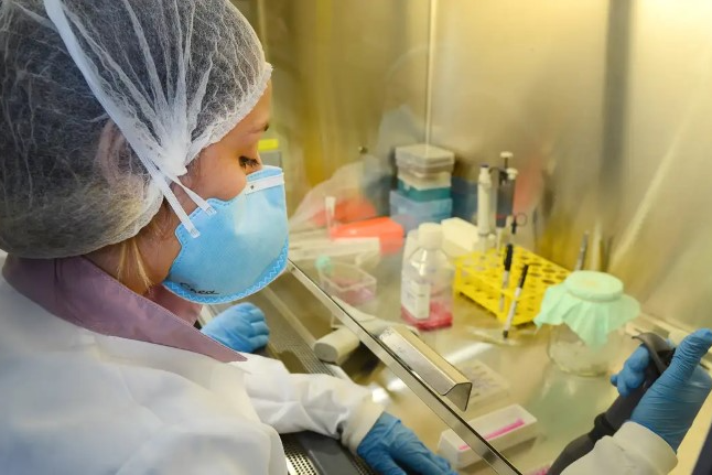 Vacina contra zika da USP avança com bons resultados em testes pré-clínicos