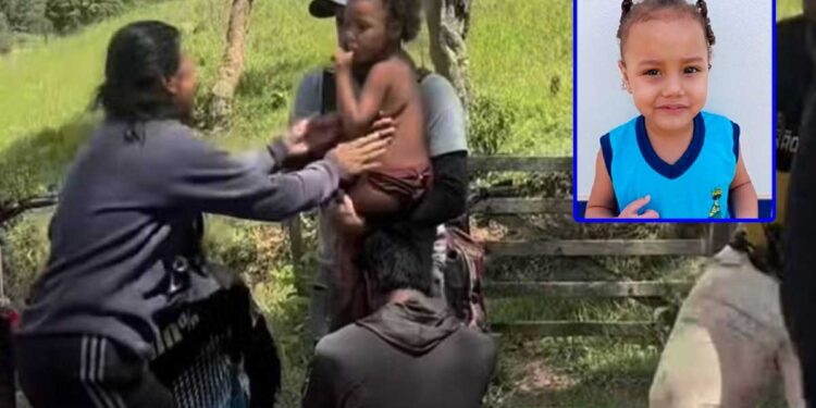 Menina de 4 anos é encontrada com vida após dias de buscas em mata de Jeceaba