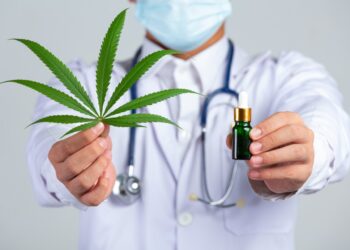 Anvisa amplia regras e libera produção de cannabis medicinal no Brasil