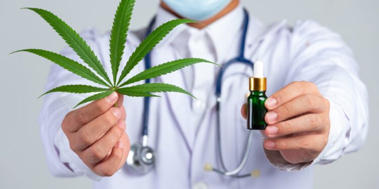 Anvisa amplia regras e libera produção de cannabis medicinal no Brasil