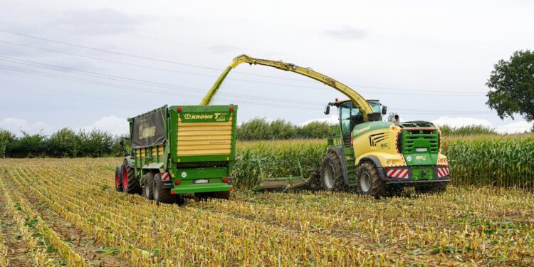 Brasil mira safra de grãos de mais de 354 milhões de toneladas em 2025/26