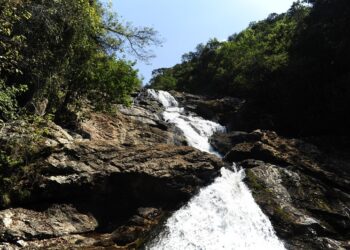 Parque Mata do Limoeiro lança guia e amplia experiência turística em Itabira