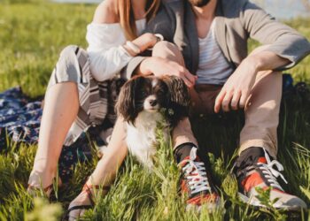 Nova lei cria guarda compartilhada de pets após separação