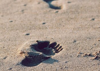 PROCURA-SE: ALGUÉM BONITO, INTELIGENTE, COMPREENSIVO E … DISPONÍVEL.