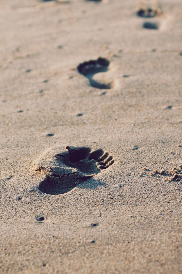 Crédito: Christopher Sardegna | Unsplash
