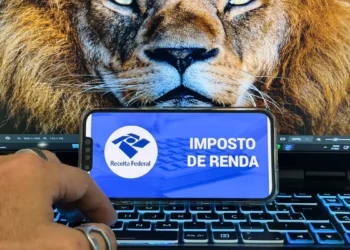 Receita libera consulta a lote da malha fina com R$ 592 milhões em restituições