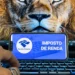 Receita libera consulta a lote da malha fina com R$ 592 milhões em restituições