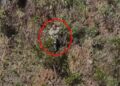 Mulher sobrevive após ser jogada de penhasco na Serra do Rola-Moça em MG