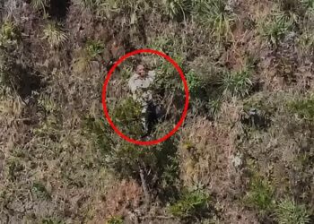 Mulher sobrevive após ser jogada de penhasco na Serra do Rola-Moça em MG