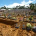 Estudo aponta que pandemia reduziu expectativa de vida no Brasil em 3,4 anos