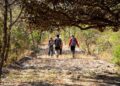 Parque Estadual do Rio Doce lança novo guia com trilhas, cicloturismo e roteiros ecológicos