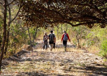 Parque Estadual do Rio Doce lança novo guia com trilhas, cicloturismo e roteiros ecológicos