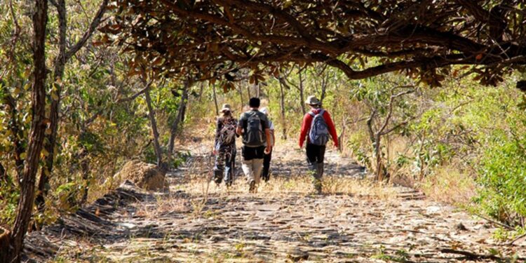 Parque Estadual do Rio Doce lança novo guia com trilhas, cicloturismo e roteiros ecológicos