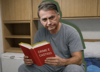 Bolsonaro, um idiota