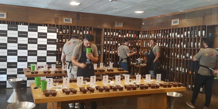 Concurso dos melhores cafés de Minas abre inscrições e reforça disputa entre regiões produtoras