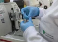 SUS vai oferecer nova terapia para pacientes com leucemia mieloide aguda
