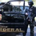 Apreensão de 2,7 toneladas de cocaína leva PF a desarticular esquema internacional de tráfico
