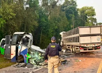 Tragédia na BR-373 deixa 23 mortos após colisão entre micro-ônibus e carreta no Paraná