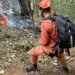 Queda de helicóptero deixa quatro mortos em área de mata no Rio de Janeiro
