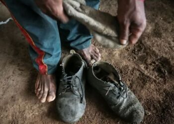 Minas resgata mais de 5,6 mil trabalhadores em condições análogas à escravidão em 13 anos