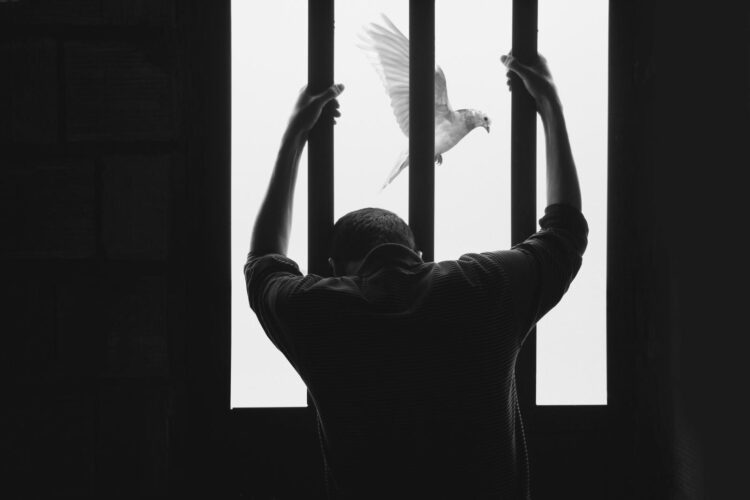 Foto: Hasan Almasi / Unsplash