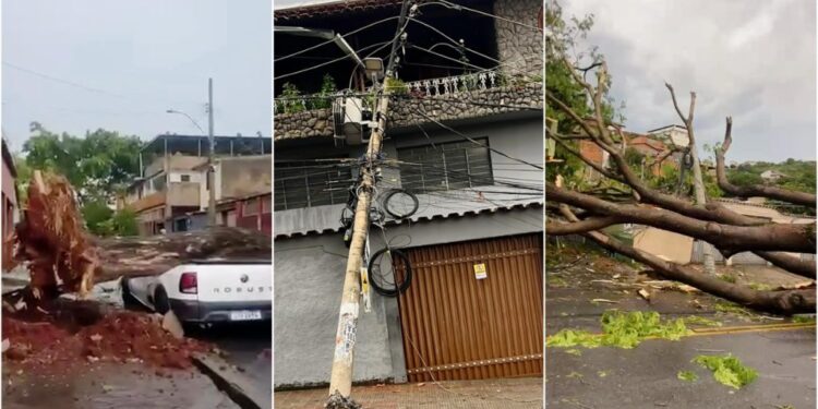Temporal derruba 180 árvores, alaga vias e deixa 45 mil imóveis sem energia em BH