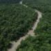 Desmatamento cai 41,8% na Amazônia e 23,8% no Cerrado em um ano