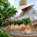 Do café gigante do Pará aos grãos especiais de Minas: a evolução do café brasileiro