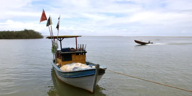 Após dez anos, pesca volta a ser liberada na região da foz do Rio Doce