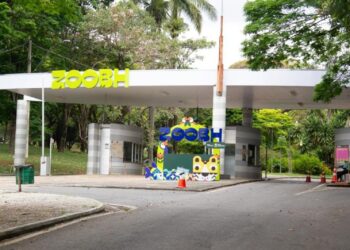 BH tem programação especial para o Dia das Crianças no Parque das Mangabeiras e no Zoológico