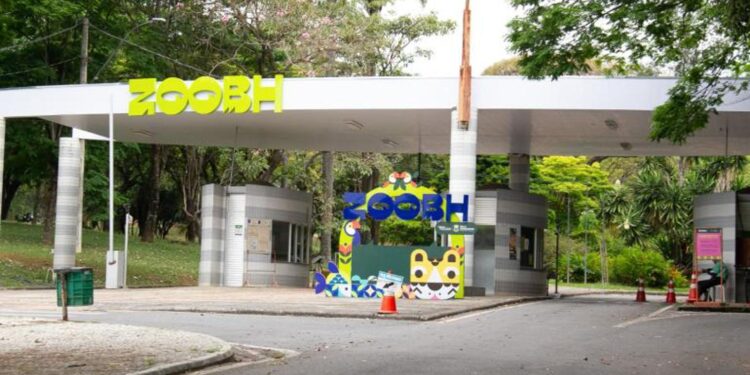 BH tem programação especial para o Dia das Crianças no Parque das Mangabeiras e no Zoológico